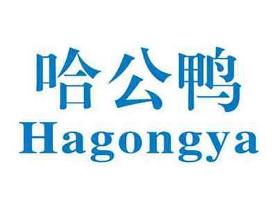 哈公鸭