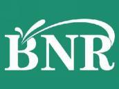BNR
