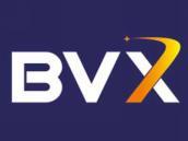 BVX