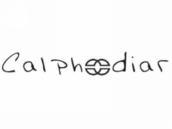 CALPHDIAR（香奈儿）