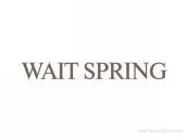 WAITSPRING