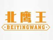 北鹰王