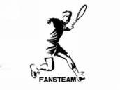 FANSTEAM