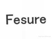 FESURE