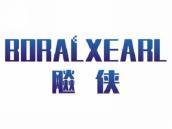 飚侠