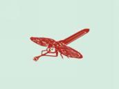 蜻蜓图形
