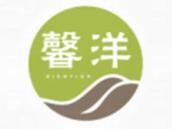 馨洋