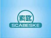 索匙