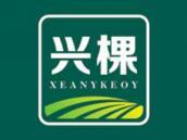 兴棵