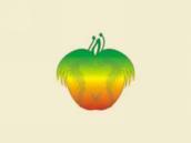 苹果图形2