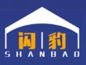 闪豹