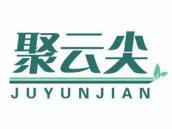 聚云尖
