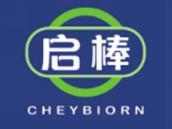 启棒