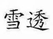雪透