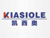 凯西奥