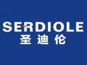 圣迪伦