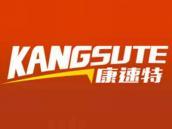 康速特