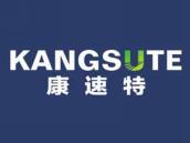 康速特