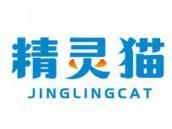 精灵猫