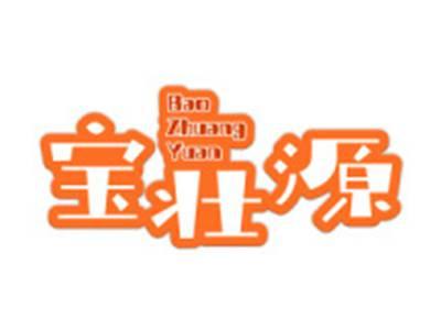 宝壮源