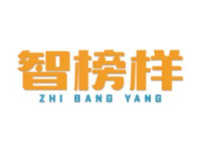 智榜样