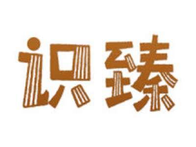 识臻