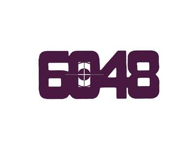 6048