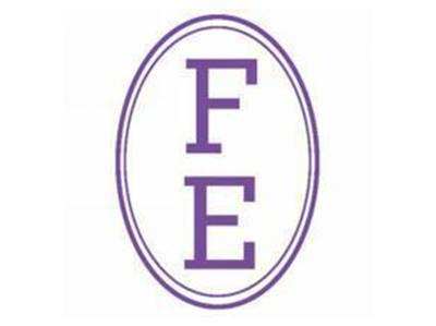FE