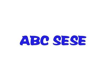 ABCSESE
