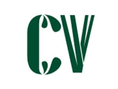 CV图形