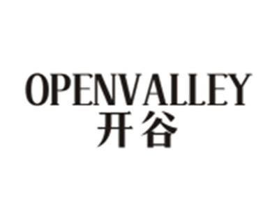 开谷OPENVALLEY