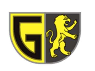 G狮子