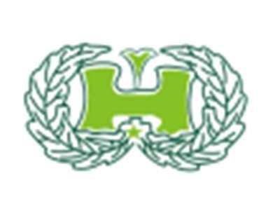H图形