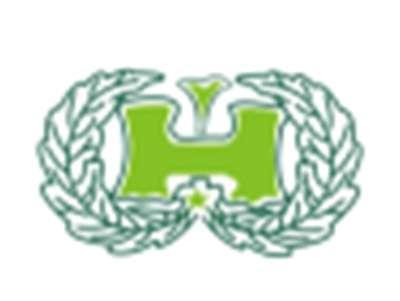 H图形
