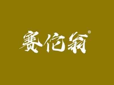 赛佗翁