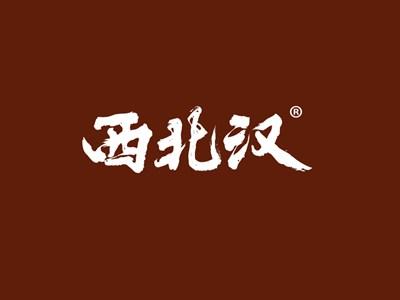 西北汉