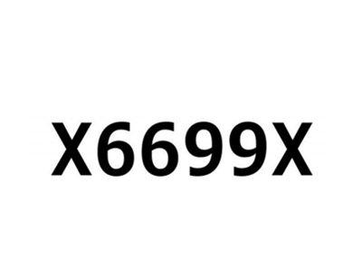 X6699X
