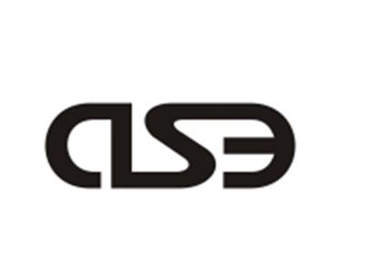 DSE