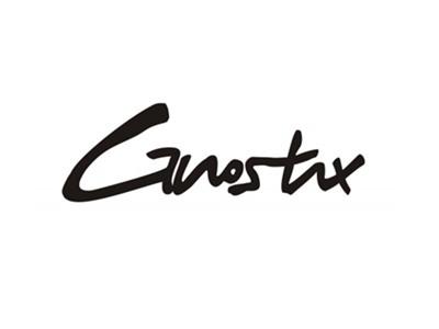 GVOSTX