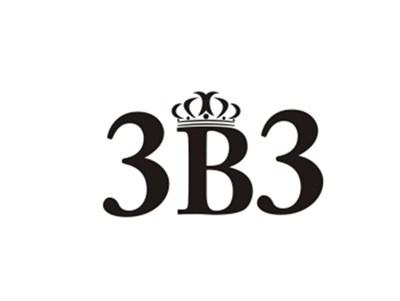 3B3