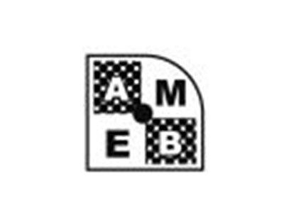 AMEB