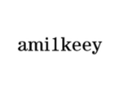 AMI1KEEY
