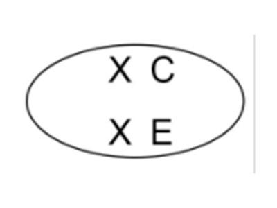 XCXE