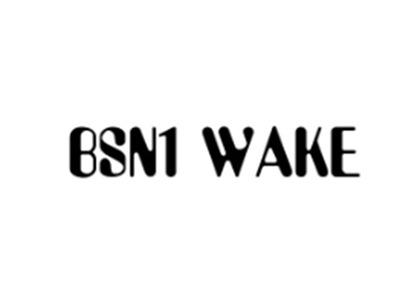 BSN1WAKE
