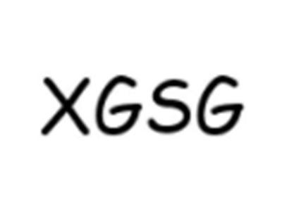 XGSG