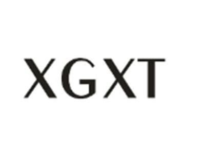 XGXT
