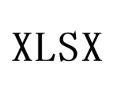 XLSX