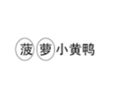 菠萝小黄鸭