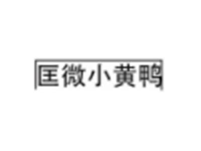 匡微小黄鸭