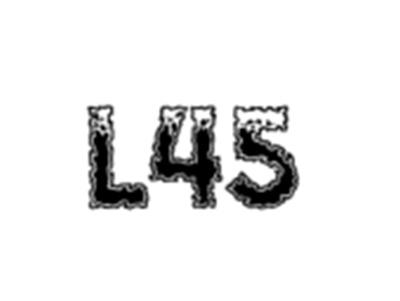 L45